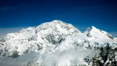 Photo of माउंट मैकिनले से फिसलकर गिरे 4 पर्वतारोही, 3 की मौत, एक गंभीर रूप से घायल