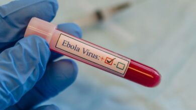 Photo of Ebola Virus Alert : भारत में इबोला वायरस का अलर्ट, अफ्रीका में 20 दिन में 200 से ज्यादा मौतें