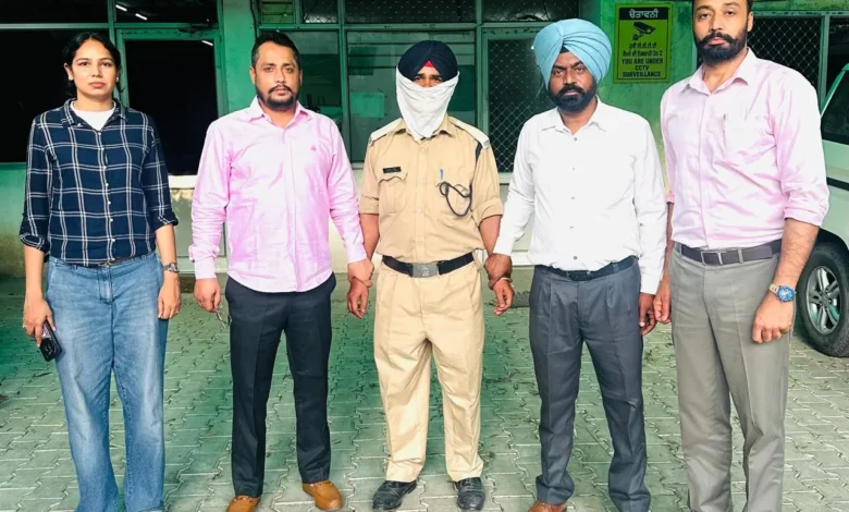 Punjab News :