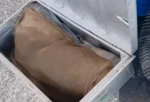 Photo of छपरा-गोमतीनगर एक्सप्रेस में खौफनाक वारदात, बक्से में मिले युवती के शव के 5 टुकड़े, सिर अब भी गायब