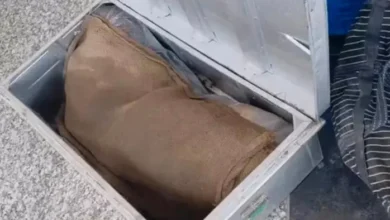 Photo of छपरा-गोमतीनगर एक्सप्रेस में खौफनाक वारदात, बक्से में मिले युवती के शव के 5 टुकड़े, सिर अब भी गायब