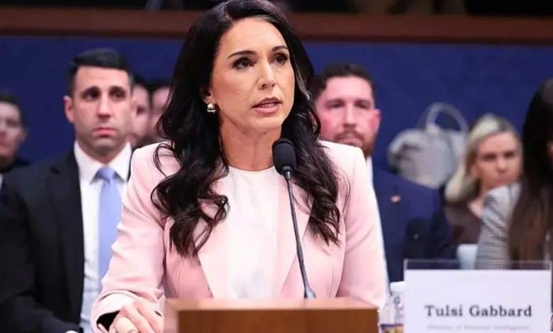 Tulsi Gabbard :