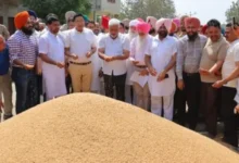 Photo of पंजाब में गेहूं खरीद ने बनाया रिकॉर्ड, 122 लाख मीट्रिक टन लक्ष्य पार, किसानों को 29 हजार करोड़ रुपये का MSP भुगतान