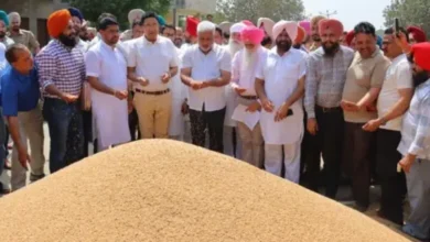Photo of पंजाब में गेहूं खरीद ने बनाया रिकॉर्ड, 122 लाख मीट्रिक टन लक्ष्य पार, किसानों को 29 हजार करोड़ रुपये का MSP भुगतान