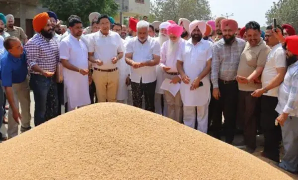 Punjab News