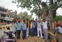 Photo of बांदा में पुराने पेड़ों को बचाने के लिए जुटे सैकड़ों लोग, मानव श्रृंखला बनाकर रुकवाई कटाई
