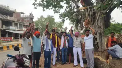 Photo of बांदा में पुराने पेड़ों को बचाने के लिए जुटे सैकड़ों लोग, मानव श्रृंखला बनाकर रुकवाई कटाई