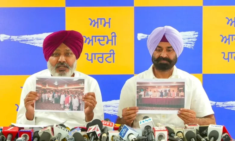 Punjab News :