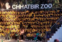 Photo of छत्तबीर चिड़ियाघर स्कूल क्लब में चार वर्षों के दौरान 4,850 स्कूल पंजीकृत, 4.2 लाख से अधिक विद्यार्थियों ने लिया हिस्सा