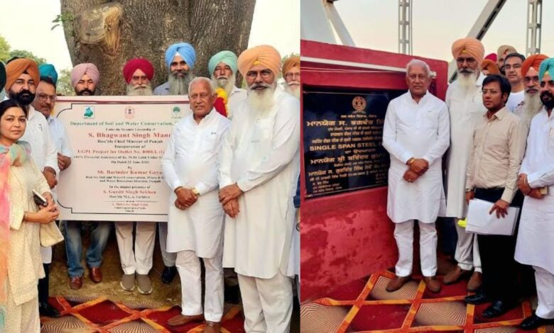 Punjab Development