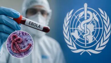 Photo of जयपुर एयरपोर्ट पर महिला यात्री में Ebola Virus के लक्षण, अस्पताल में भर्ती