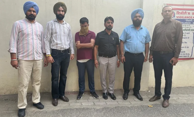 Punjab News :