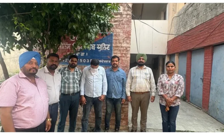 Punjab News :