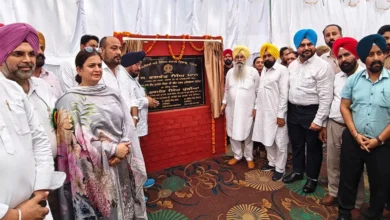 Photo of पंजाब को मिली पहली बायो-फर्टिलाइजर क्वालिटी कंट्रोल लैब, बठिंडा में गुरमीत सिंह खुड्डियां ने किया उद्घाटन