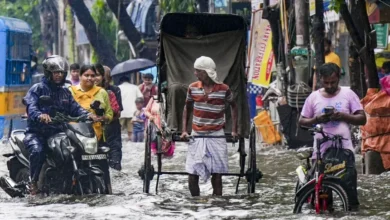 Photo of मानसून फिर पकड़ेगा रफ्तार, कई राज्यों में बारिश का अलर्ट, जुलाई के पहले हफ्ते तक दिल्ली पहुंच सकता है मानसून