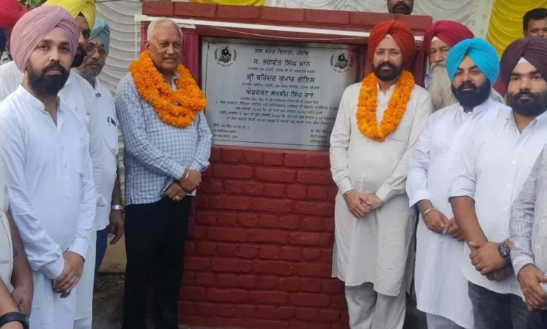 Punjab News :