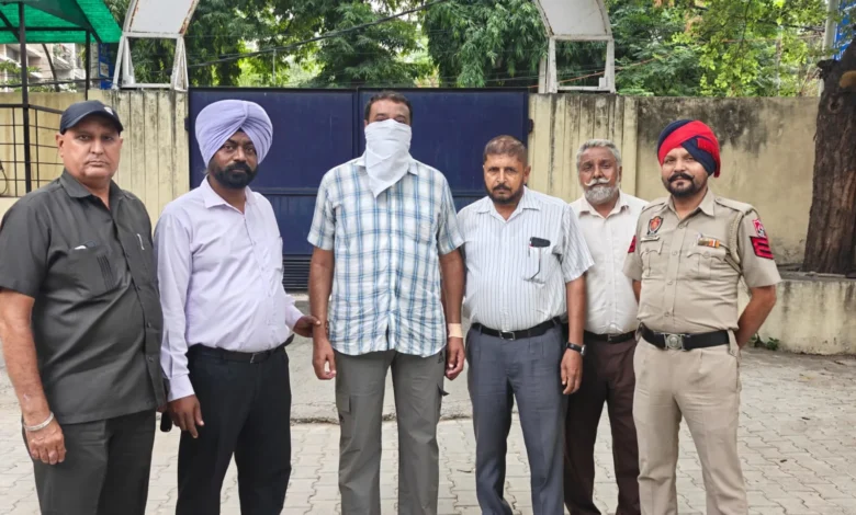 Punjab News :