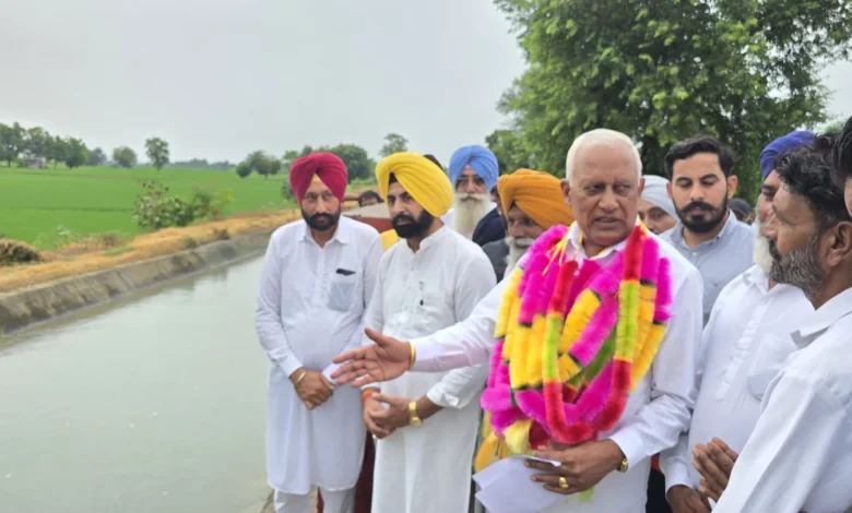 Punjab News :