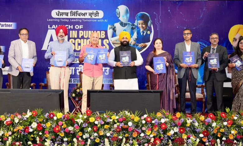 Punjab News :