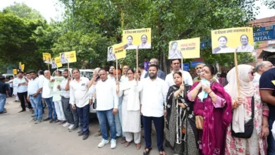 Photo of दिल्ली में 650 करोड़ के कथित दवा घोटाले के विरोध में एलएनजेपी अस्पताल के बाहर AAP का प्रदर्शन