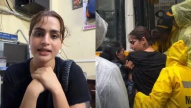 Photo of एक्ट्रेस Ayesha Khan हिरासत में ली गईं, CJP प्रदर्शन के समर्थन में पहुंची थीं, जानिए पूरा मामला