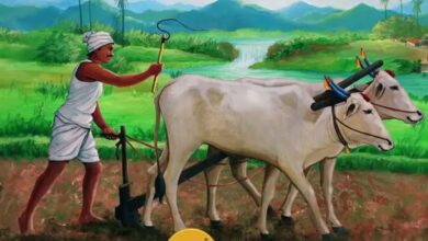 Photo of Farmers ID Card बनेगा किसानों की पहचान, मिलेंगे भरपूर लाभ, बार-बार रजिस्ट्रेशन का झंझट खत्म, ऐसे करें अप्लाई