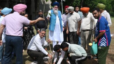 Photo of पंजाब विधानसभा में हरियाली की पहल, स्पीकर संधवां ने लगाए 40 से ज्यादा फलदार पौधे