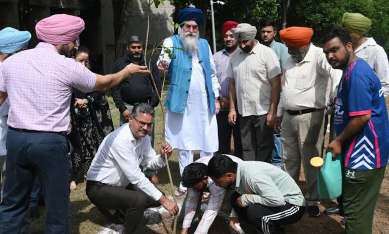 Green Punjab