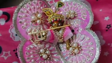 Photo of ग्वालियर में लड्डू गोपाल की गुम हुई प्रतिमा की तलाश के लिए एसआईटी गठित, पुलिस चला रही ‘मिशन कान्हा’