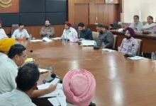 Photo of स्कूलों और आंगनवाड़ी में पोषण क्रांति, अब हर स्कूल में होगी हरियाली, पोषण वाटिका अभियान में तेजी लाने के निर्देश