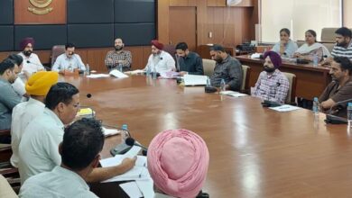 Photo of स्कूलों और आंगनवाड़ी में पोषण क्रांति, अब हर स्कूल में होगी हरियाली, पोषण वाटिका अभियान में तेजी लाने के निर्देश