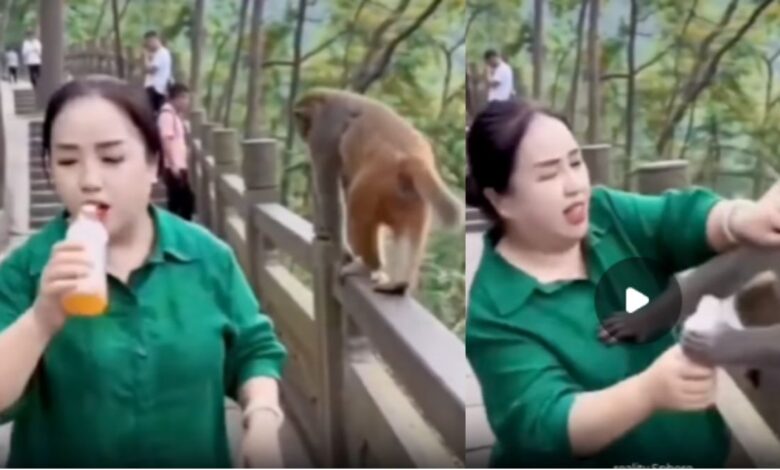 Viral Video