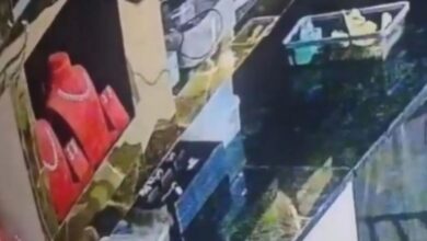 Photo of चूहे ने उड़ाए 10 लाख के गहने, CCTV में खुला चोरी का हैरान करने वाला राज