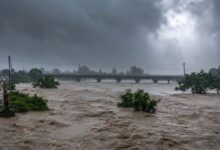 Photo of Weather Update : बारिश का कहर जारी, यूपी-बिहार से राजस्थान तक अलर्ट, कई नदियां उफान पर