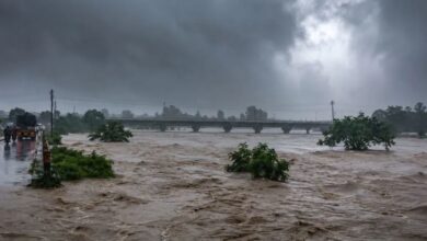 Photo of Weather Update : बारिश का कहर जारी, यूपी-बिहार से राजस्थान तक अलर्ट, कई नदियां उफान पर