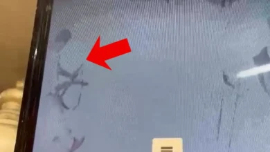 Photo of काशी विश्वनाथ मंदिर के गेट पर अचानक चली PAC जवान की कार्बाइन, CCTV में कैद हुई पूरी घटना, 3 लोग घायल