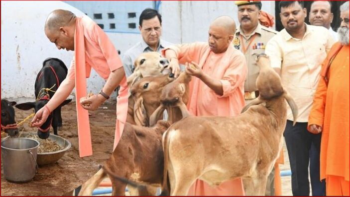 CM Yogi