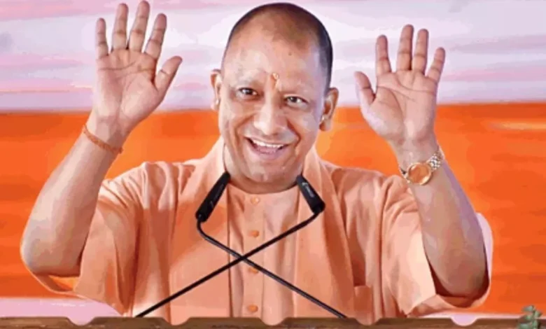 Yogi Cabinet