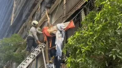 Photo of 10वीं मंजिल से गिरने के बाद भी बची जिंदगी, रेस्क्यू ऑपरेशन का हैरान करने वाला मामला