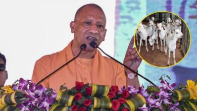 Photo of ग्रामीण महिलाओं के लिए योगी सरकार ने खोली आत्मनिर्भरता की राह, पशु सखी श्वेता बनीं गांव का भरोसा