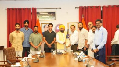 Photo of पंजाब की अपनी IPL, 30 अगस्त से 13 सितंबर तक होने वाली शेर-ए-पंजाब 20-20 लीग में खेलेंगे शीर्ष खिलाड़ी- सीएम मान