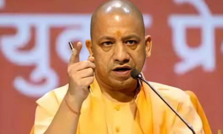 UP Development