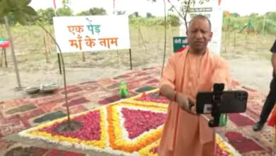 Photo of ‘एक पेड़ मां के नाम’ अभियान के तहत सीएम योगी ने अमर शहीद वाटिका में किया त्रिवेणी पौधरोपण