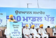 Photo of CM भगवंत मान ने 509 ग्रामीण खेल मैदानों का किया उद्घाटन, अब 734 मैदान युवाओं को समर्पित