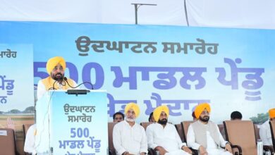 Photo of CM भगवंत मान ने 509 ग्रामीण खेल मैदानों का किया उद्घाटन, अब 734 मैदान युवाओं को समर्पित