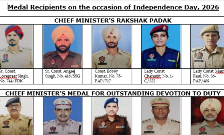 Punjab News :