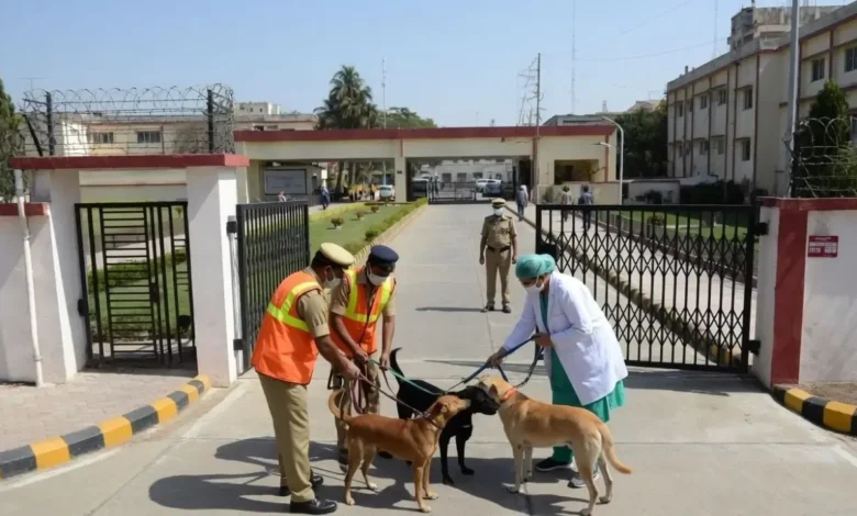 Government Hospitals :