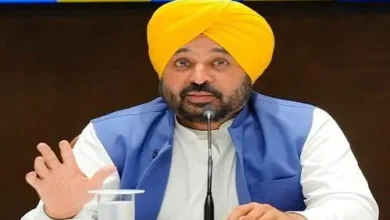 Photo of पंजाब में 152 नई गौशालाओं को मुफ्त बिजली, कुल 518 गौशालाओं को मिलेगा लाभ