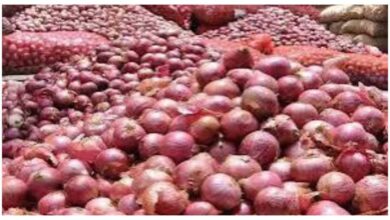 Photo of प्याज की कीमतों ने बढ़ाई चिंता, एशिया की सबसे बड़ी मंडी में क्या है भाव?