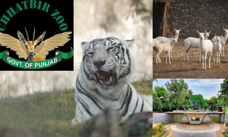 Chhatbir Zoo